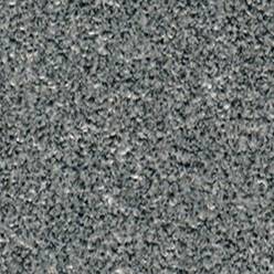 ADDICTION 453 LICHEN - M