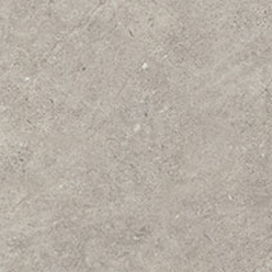 CAMARO PUR 2342 BURNISHED CONCRETE