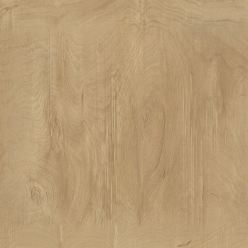 CAMARO LOC PUR 3431 APPLE TREE