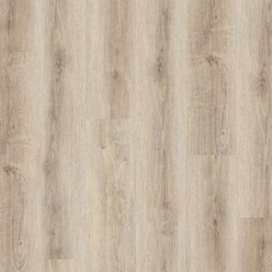 CONCEPTLINE 3181 - SNOWSHILL OAK