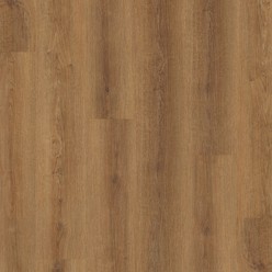 CONCEPTLINE 3185 - MALDON OAK