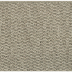 Broadwick Action Myra Biscuit Carpet | Durable Biscuit Beige Carpet | 4m Width