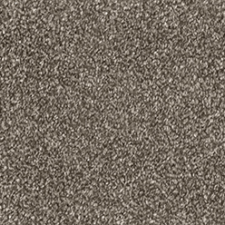 Bellissimo Templeton