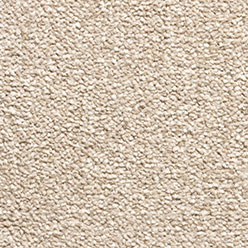 BLAYDON 172 is a durable, commercial-grade carpet designed for high-traffic environments.