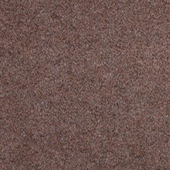 Can Can 1153 Beige Carpet | Gel Backing | 4.00m Width
