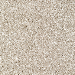 Bridgeport 270 Cream Carpet – Soft Twist Pile with ACTIONBAC Backing (4m & 5m Widths)
