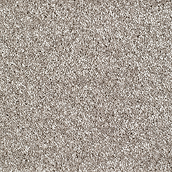 Bridgeport 273 Mink Carpet – Soft Twist Pile with ACTIONBAC Backing (4m & 5m Widths)