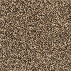 CANTERBURY Cookie & Cream Carpet – Secondary Backing | 4.00m Width