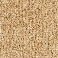 CANTERBURY Honey Carpet – Secondary Backing | 5.00m Width