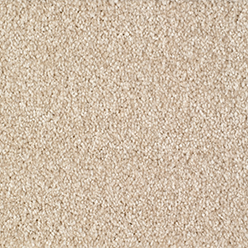 BRIXHAM 172 BEIGE Carpet