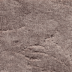 California Dreams Bracken Carpet | Soft Heathered Finish | ActionBac Backing