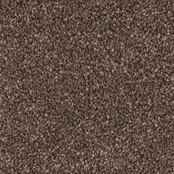 BELLISSIMO – Cedar