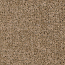 Blaydon Fudge 271 Commercial Carpet | 4m & 5m Widths | Actionbac Heavy-Duty Flooring