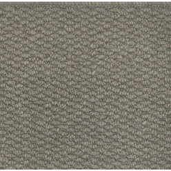 Broadwick Action Myra Fawn Carpet | Durable Fawn Beige Carpet | 4m Width
