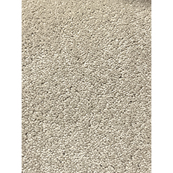 Brooklyn 33 Putty Carpet | Durable Putty Beige Carpet | 4m & 5m Width | FusionBac