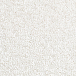 Carousel Pearl 169 Carpet – Elegant Pearl Grey Carpet with Actionbac Backing