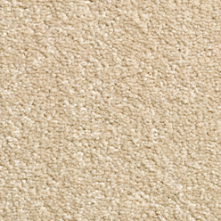 Beige Carpet – Carousel Soft Beige 172 Carpet with Actionbac Backing