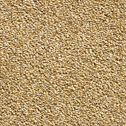 Castille Elite 50 Harvest Carpet – Warm Beige Luxury Flooring