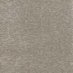 Stone Carpet – Carousel Stone 174 Carpet with Actionbac Backing
