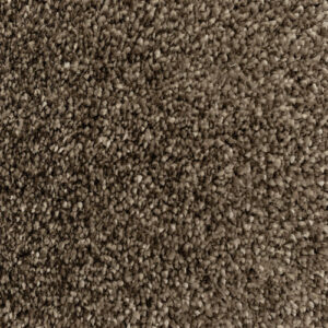 Canterbury Plus Whitstable Carpet – Premium Soft Carpet in 4m & 5m Widths