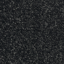 Carousel Platinum 177 Carpet – Luxury Soft Flooring with Actionbac Backing