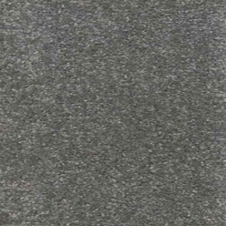 Carousel Tungsten 275 – Bold Modern Gray Paint for Contemporary Spaces