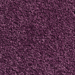 Carousel Plum 115 Carpet – Rich Tone Soft Flooring with Actionbac Backing