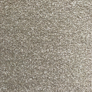 Canterbury Plus Honey Hill Carpet – Premium Soft Carpet in 4m & 5m Widths