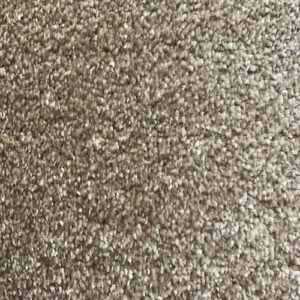 Canterbury Plus Littlebourne Carpet – Premium Soft Carpet in 5m Width