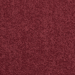Daintree Mossman Carpet – Natural Style & Durable Comfort Flooring