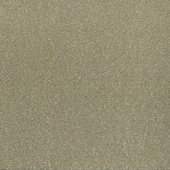 Cosmic Twist Pegasus Carpet – Luxury Soft Twist Pile Durable Modern Flooring