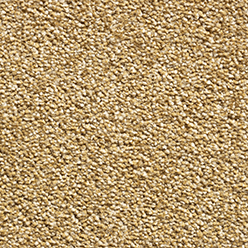 Castille Super 50 Harvest Carpet – Warm Golden Beige Luxury Flooring for Stylish Homes