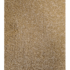Fascination 370 Gold Carpet