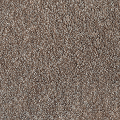 Daytona Biscuit Feltbac Carpet – Soft, Warm & Durable