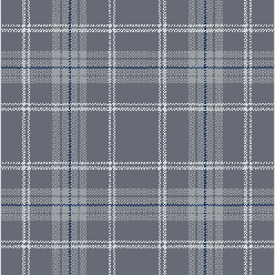 Clan Moonlight Arbroath Carpet – Elegant Soft Grey Modern Flooring