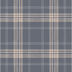 Clan Moonlight Buckie Carpet – Soft Neutral Grey Modern Flooring