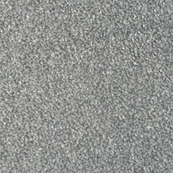 Daytona Platinum Actionbac Carpet – Elegant, Strong & Durable