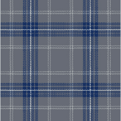 Clan Moonlight Lossiemouth Carpet – Soft Neutral Grey Modern Flooring