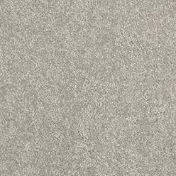 Daintree Myall Beach Carpet – Coastal Elegance & Everyday Durability