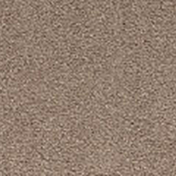 Classic Charm Heathers 790 Cool Camel Carpet – Soft Neutral Luxury Flooring