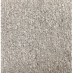 Condor Special Astra GEL 475 Carpet – Premium Durable Gel Back Flooring