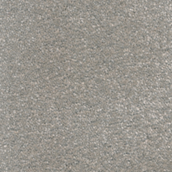 Fascination 862 Dolphin SB Carpet