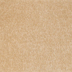 DUBLIN (OLD) BERBER 319 SB