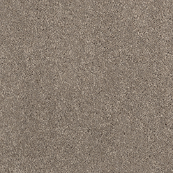 Daintree Bonnie Doon Carpet – Natural Style, Durable & Comfortable Flooring