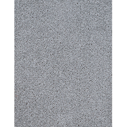 Dalton – Pigeon 155