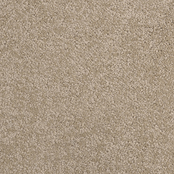 Daintree Cooper Creek Carpet – Natural Inspired, Durable & Comfortable Flooring
