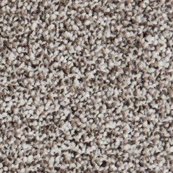Focus Twist Deer Path Carpet