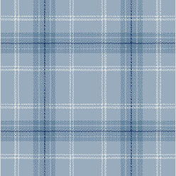 Clan Moonlight Ullapool Carpet – Soft Grey Elegant Textured Flooring