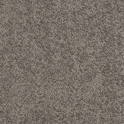 Daintree Kulki Walk Carpet – Natural Inspired, Durable & Stylish Flooring