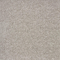 DUBLIN (OLD) DOLPHIN 156 FB